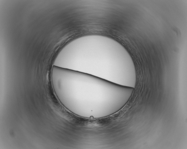 X0000113060262200908280954