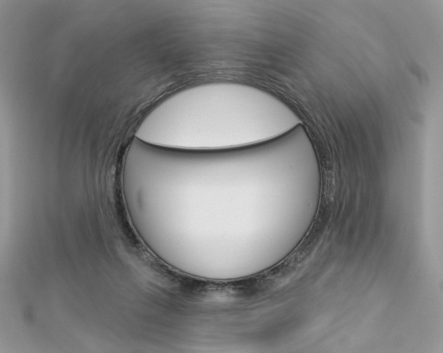 X0000113060263200908280954