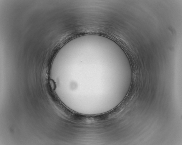 X0000113060264200908280954