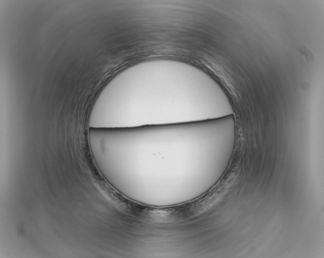 X0000113060265200908280954
