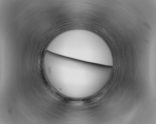 X0000113060266200908280954