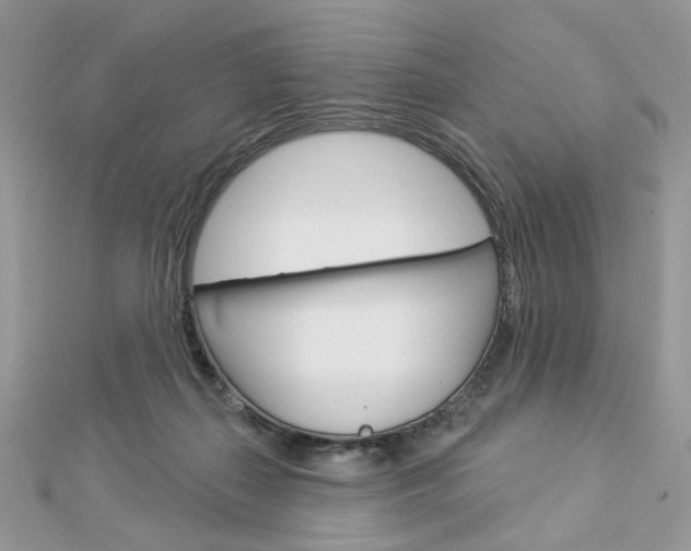 X0000113060267200908280954
