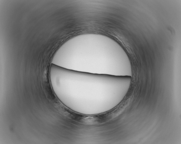 X0000113060269200908280954
