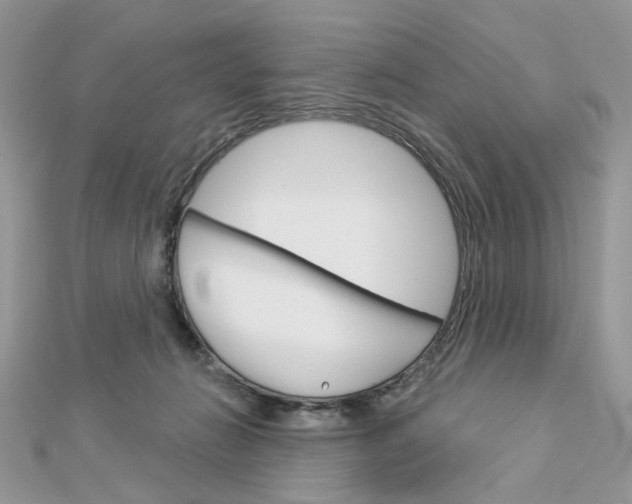 X0000113060270200908280954