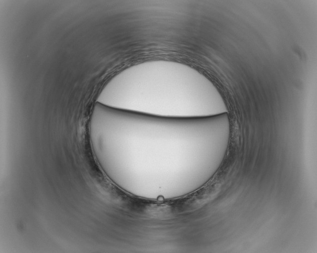 X0000113060271200908280954