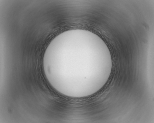X0000113060272200908280954
