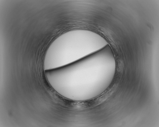 X0000113060273200908280954
