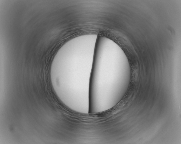 X0000113060274200908280954