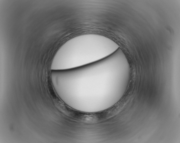X0000113060275200908280954
