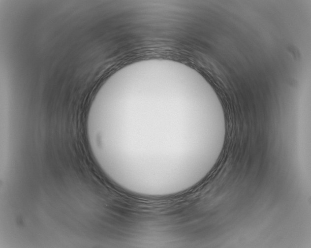 X0000113060276200908280954
