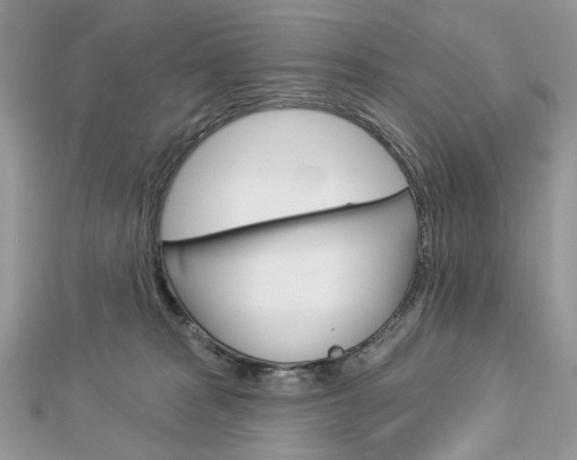 X0000113060277200908280954