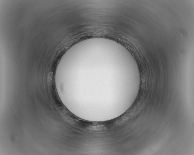 X0000113060278200908280954