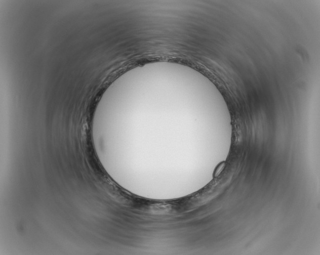 X0000113060279200908280954