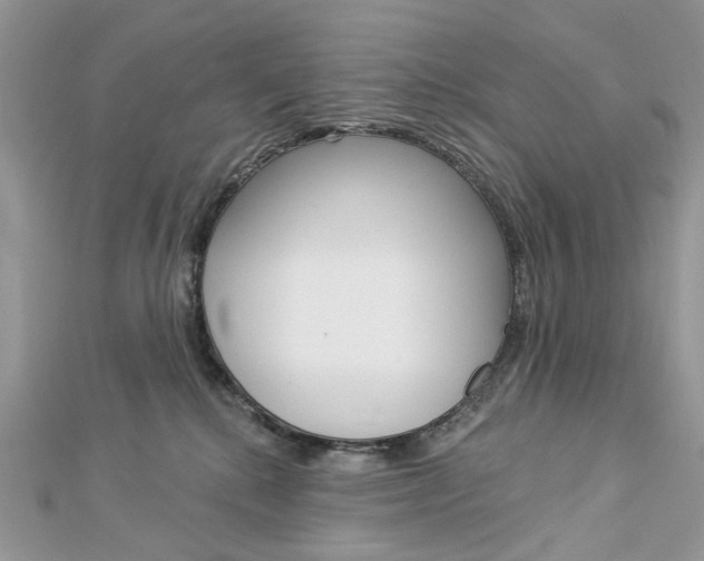 X0000113060280200908280954