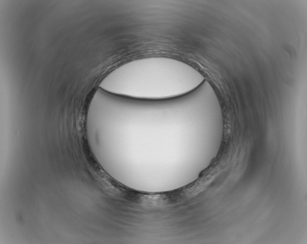 X0000113060281200908280954
