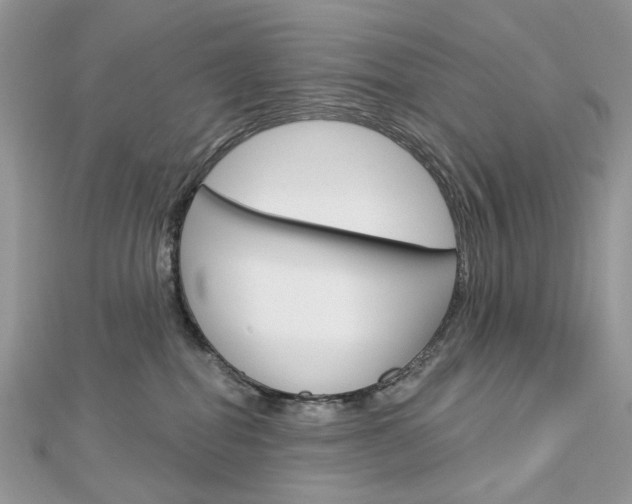X0000113060282200908280954
