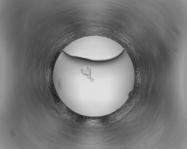 X0000113060283200908280954