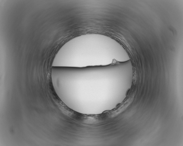 X0000113060285200908280954
