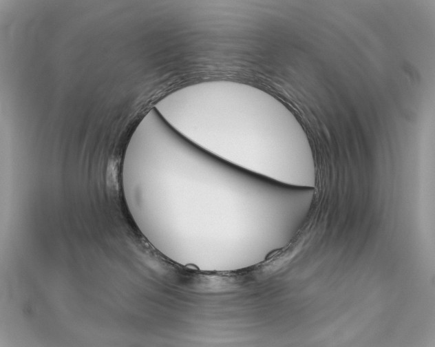 X0000113060286200908280954
