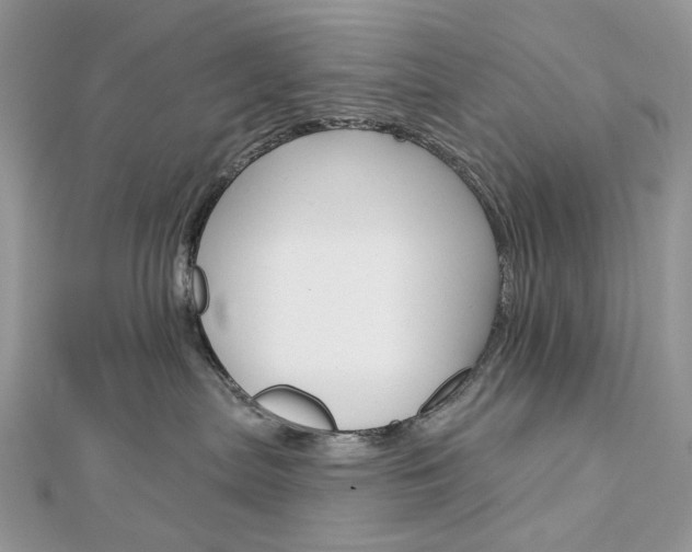 X0000113060287200908280954