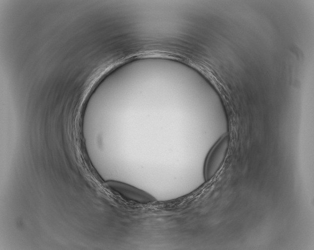 X0000113060289200908280954