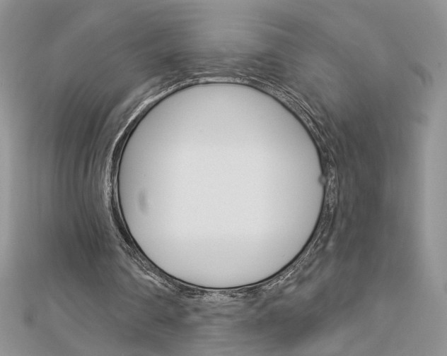 X0000113060290200908280953