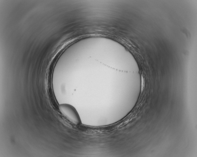X0000113060291200908280953
