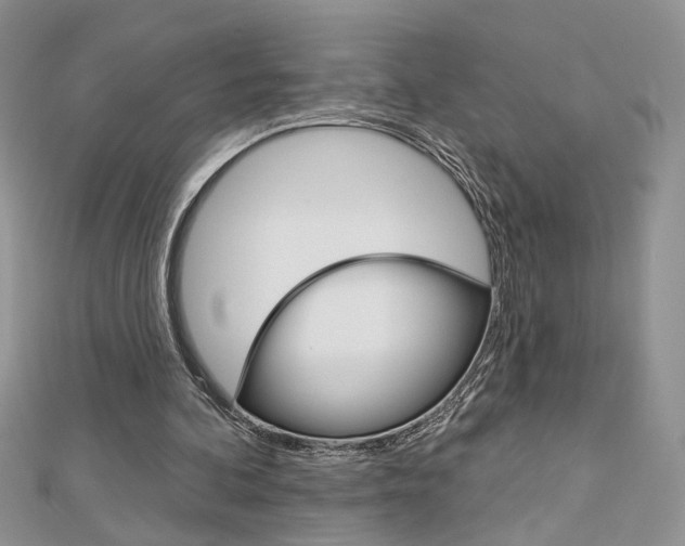 X0000113060292200908280953