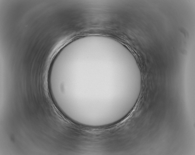 X0000113060293200908280953