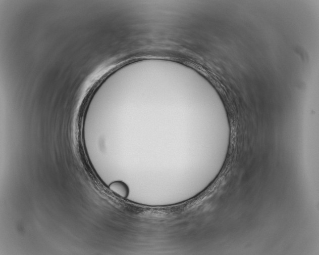 X0000113060294200908280953