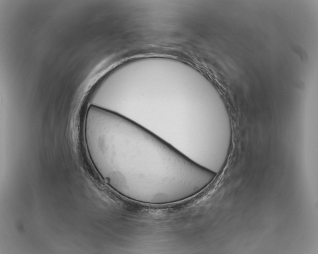 X0000113060295200908280953