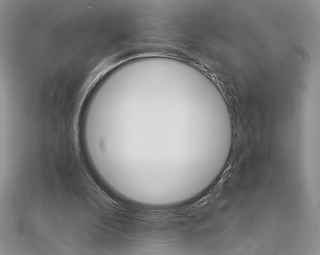 X0000113060296200908280953