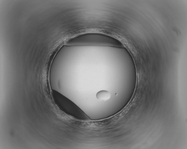 X0000113060297200908280953