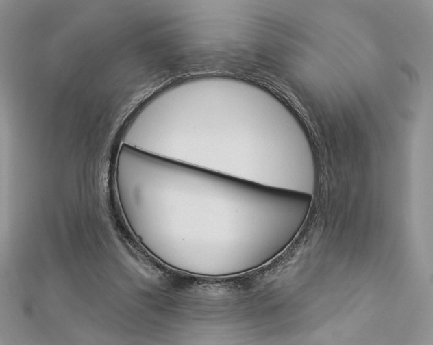 X0000113060299200908280953