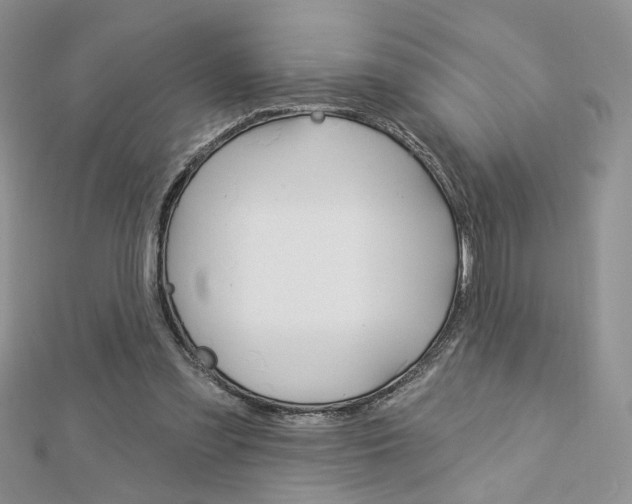 X0000113060301200908280953