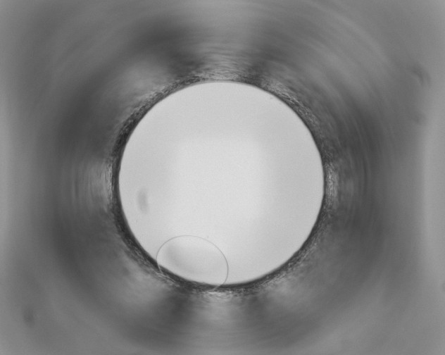 X0000113060302200908280953