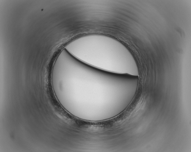 X0000113060303200908280953