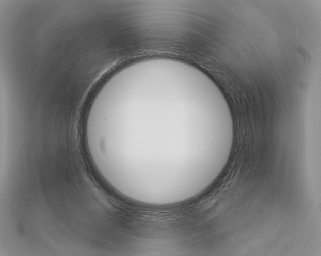 X0000113060304200908280953