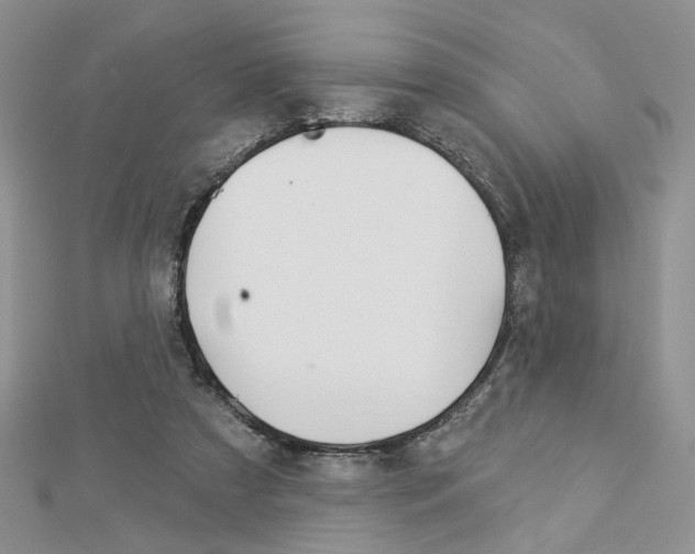 X0000113060305200908280953