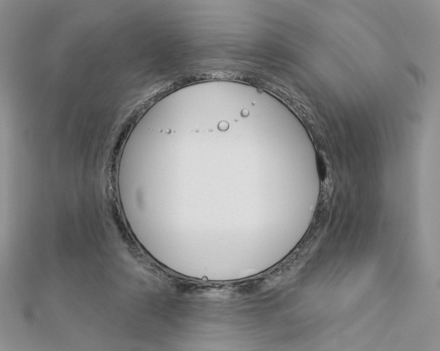 X0000113060306200908280953