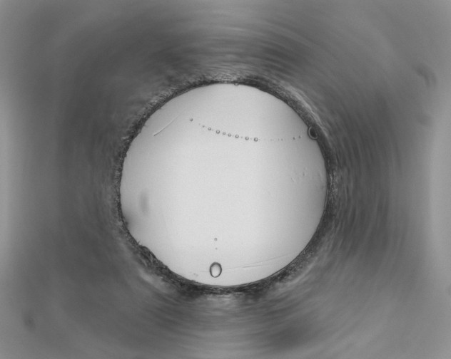 X0000113060307200908280953