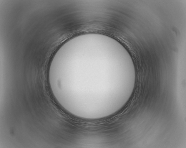 X0000113060309200908280953