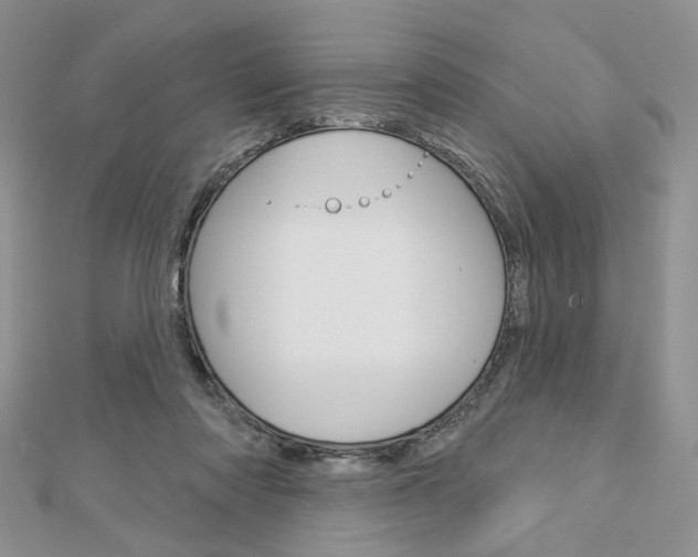X0000113060310200908280953