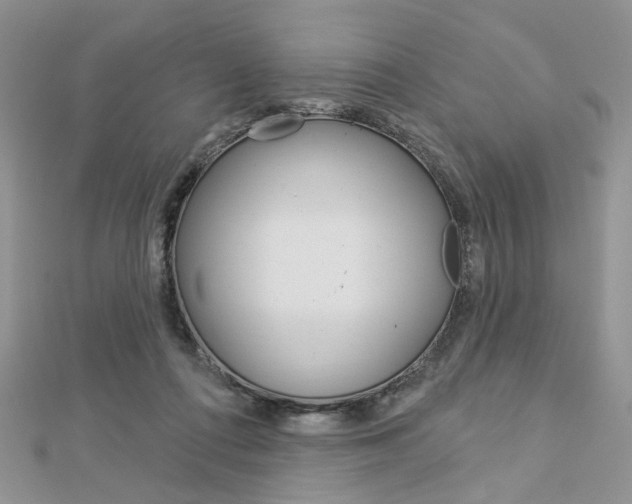 X0000113060312200908280953