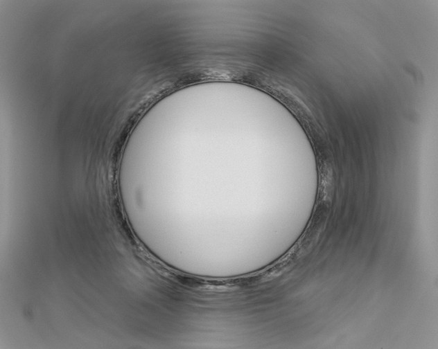 X0000113060314200908280953