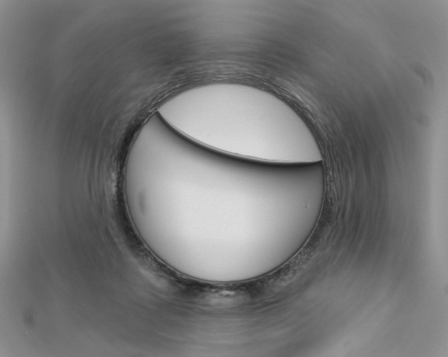X0000113060315200908280953