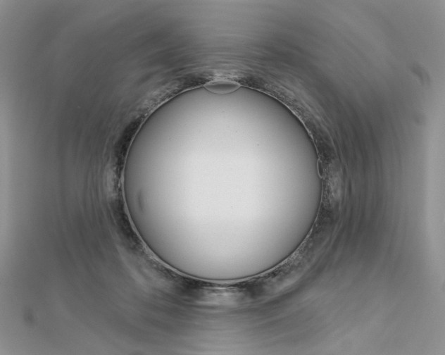 X0000113060316200908280953