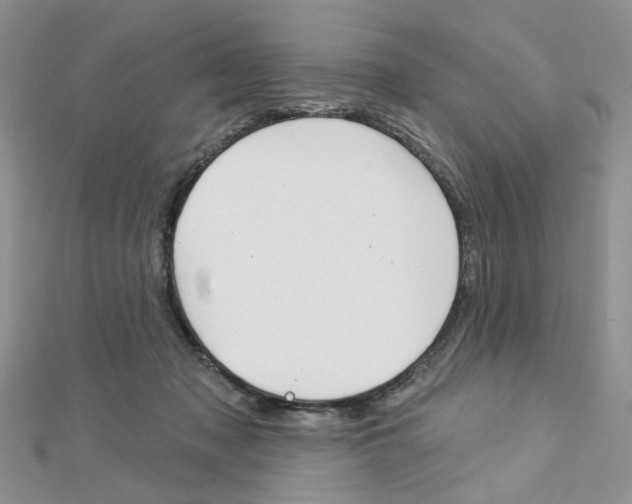 X0000113060317200908280953