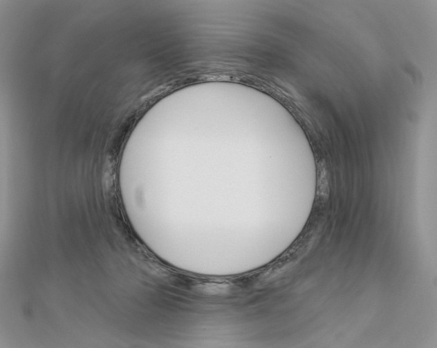 X0000113060318200908280953