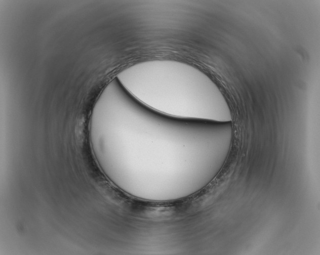 X0000113060319200908280953